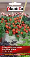 NASIONA Pomidor Koktajlowy Vilma 0,2g PLANTICO Doniczkowy Balkonowy 405745