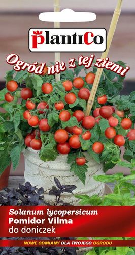 NASIONA Pomidor Koktajlowy Vilma 0,2g PLANTICO Doniczkowy Balkonowy 405745 na Arena.pl