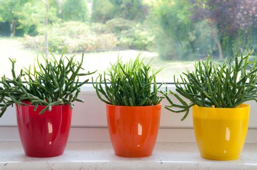 DONICZKA OSŁONKA Z PODSTAWKĄ DONICA KOLORY 18cm na Arena.pl