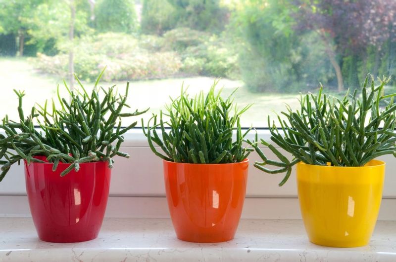 DONICZKA OSŁONKA Z PODSTAWKĄ DONICA KOLORY 18cm zdjęcie 4