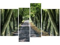 OBRAZ LEŚNA DROGA POMIĘDZY DRZEWAMI