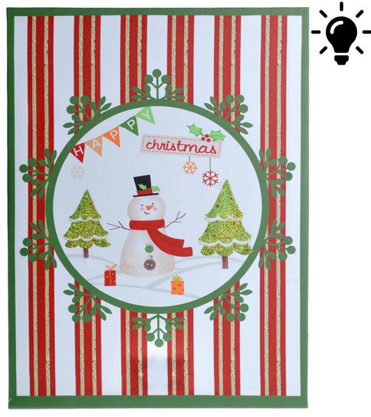 Obraz led z bałwanem zdjęcie 1