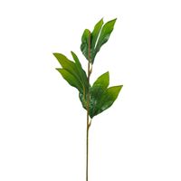 Łodyga do peoni 12szt