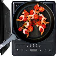 KUCHENKA INDUKCYJNA ELEKTRYCZNA JEDNOPALNIKOWA PŁYTA GRZEWCZA INDUKCJA