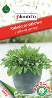 NASIONA Rukola Sałatowa 1g PLANTICO Całoroczna 426481