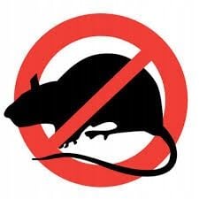 Toxan płyn 3L trutka myszy szczury gryzonie na Arena.pl