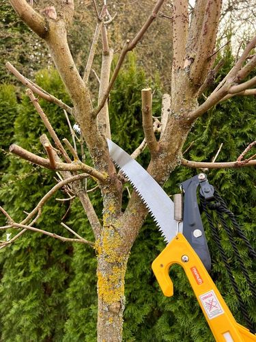 PIŁA TELESKOPOWA Z SEKATOREM NA TRZONKU 3,75m 375cm DO GAŁĘZI 2w1 na Arena.pl