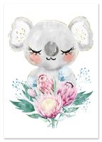 Plakat plakaty dla dziecka obrazki koala 70x100 cm