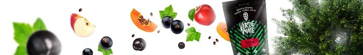 Yerba Verde Mate Green Dragon Fruit Owoce 0,5kg zdjęcie 10