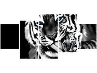 70CM 150CM OBRAZ 5 ELEM TYGRYSY ŚCIENNY