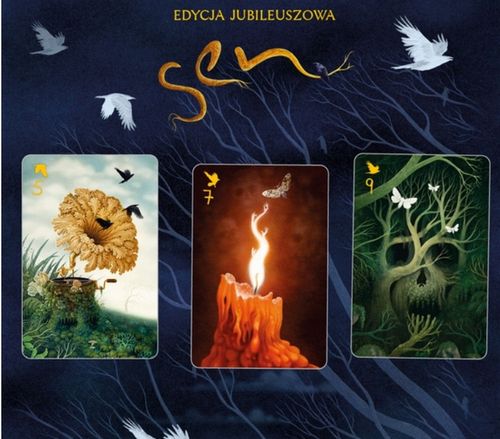 Sen (druga edycja jubileuszowa) na Arena.pl