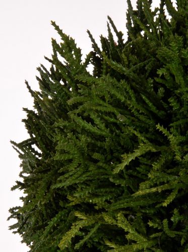 Kula dekoracyjna śr.20cm # na Arena.pl