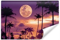 Fototapeta Do Sypialni Zachód Pełnia KSIĘŻYC Palmy Efekt 3D 90cm x 60cm