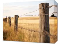 Obraz 50x40cm Płot na Polu