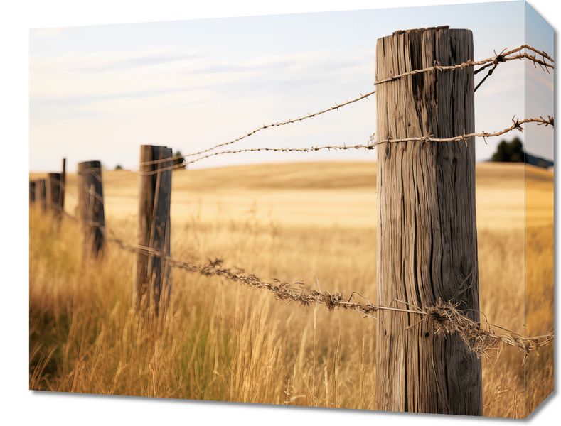 Obraz 50x40cm Płot na Polu zdjęcie 1