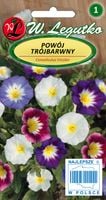 Nasiona Powój trójbarwny mieszanka, 2g