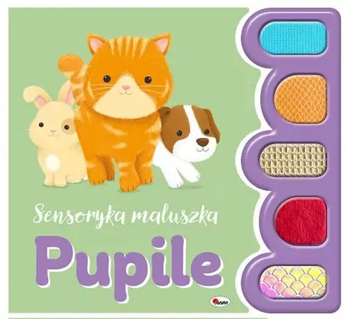 Pupile. Sensoryka maluszka zdjęcie 1