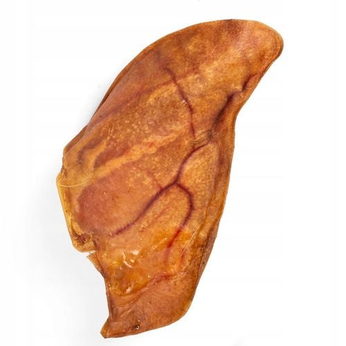 HOCKY Przekąska Przysmak Suszony Gryzak dla Psa Ucho Wieprzowe 10 szt. na Arena.pl