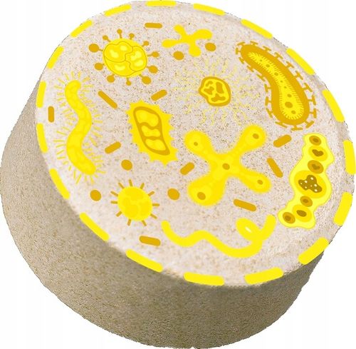 TABLETKI DO SZAMBA BAKTERIE DO OCZYSZCZALNI EKOLOGICZNEJ PREPARAT DO na Arena.pl