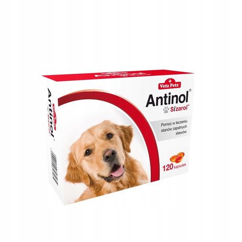 BIOVICO ANTINOL SIZAROL 120 tabletek dla psa na stawy na Arena.pl