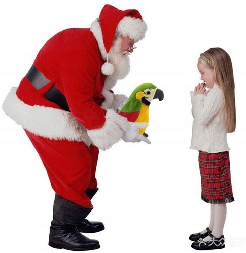 Maskotka Papuga Powtarzająca Ara na Arena.pl