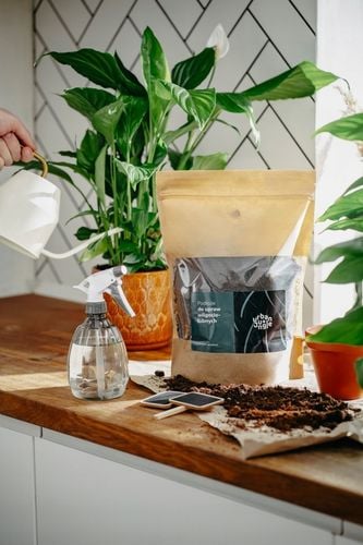 Ziemia do SKRZYDŁOKWIATA, BANANOWCA, PACHIRY i PAPROCI 5L bigos, na Arena.pl