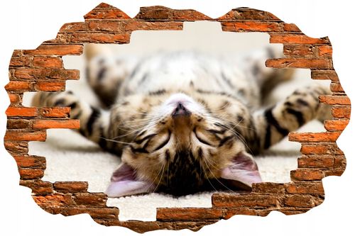 Naklejka samoprzylepna dziura 3D psy koty słodkie na Arena.pl