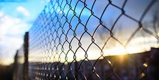 SIATKA OGRODZENIOWA 150 cm OCYNK + PCV ZIELONA drut 3,0 mm rolka 10mb 1,50m na Arena.pl