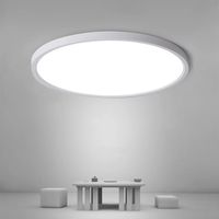LAMPA SUFITOWA LED PLAFON BIAŁY DO SYPIALNI NATYNKOWA ŁAZIENKOWA 6500K 24W