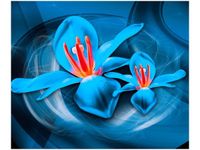 60X50CM NIEBIESKIE KOSMICZNE KWIATY JAKUB BANAŚ OBRAZ ŚCIAN DREWNIANE