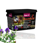 Pavo MuscleBuild 3kg Refill - Dla silnego i umięśnionego konia 3 kg