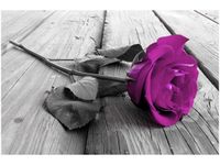 120CM 80CM OBRAZ ŚCIENNY WYRAZISTA RÓŻA