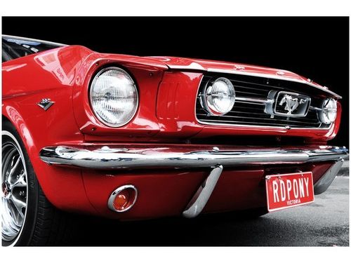 120CM 80CM OBRAZ ŚCIENNY RED MUSTANG Y na Arena.pl