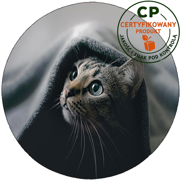 Opłatek na tort Koty zdjęcie 1