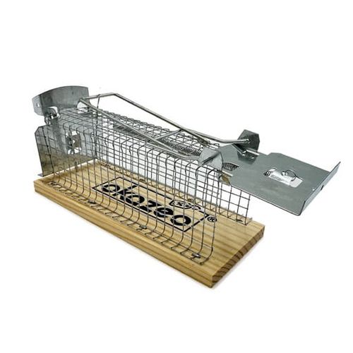 Pułapka humanitarna na myszy gryzonie żywołapka klatka łapka 15x6x6cm na Arena.pl