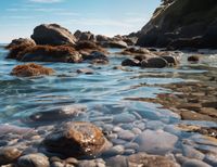 Plakat 65x50cm Harmonia Przybrzeżna