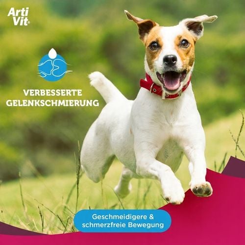 VITAR Veterinae ArtiVit Syrop 200 ml na Arena.pl