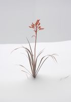 product-compare-59356757