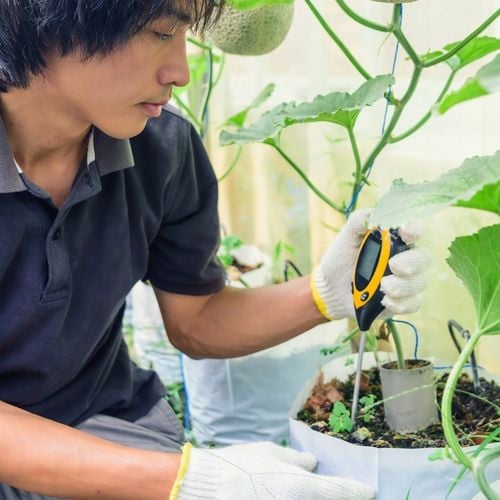 KWASOMIERZ MIERNIK TESTER OGRODNICZY PH GLEB ZIEMI na Arena.pl