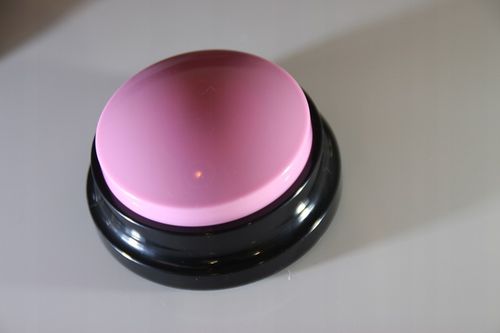 PRZYCISK SZKOLENIA Psa Kota NAGRYWANIE DŹWIĘKU przyciski NAUKA 2szt MP097 na Arena.pl