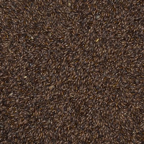 Babka płesznik 1kg na Arena.pl