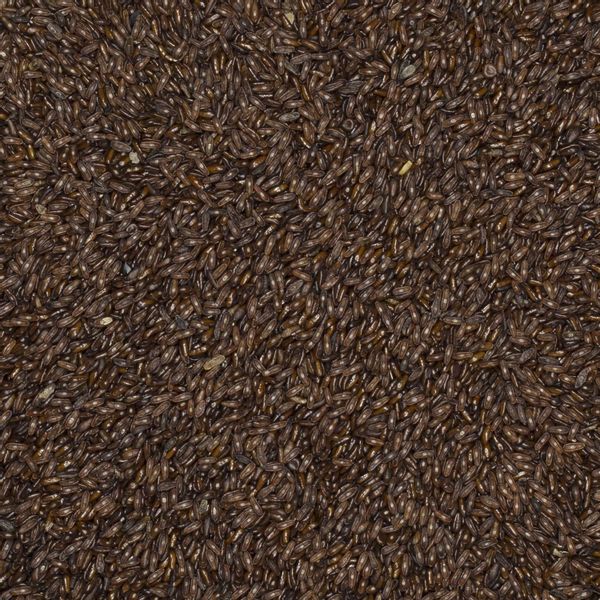 Babka płesznik 1kg zdjęcie 3