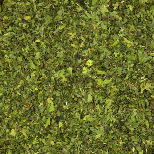 Lubczyk liść 200g na Arena.pl