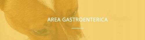 REUTERAL PET CANE NBF Lanes * na Arena.pl