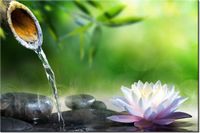 product-compare-58694742