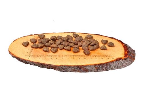 Wysokomięsna karma dla psów bez zbóż i ziemniaków - Carnilove Łosoś 1,5kg na Arena.pl