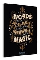 Harry Potter Words - obraz na płótnie 60x80 cm