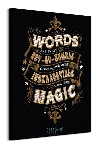 Harry Potter Words - obraz na płótnie 60x80 cm zdjęcie 1