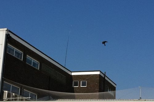 Odstraszacz Ptaków Duży Latawiec Jastrząb CH2 na Arena.pl