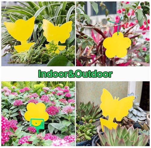 Lepka pułapka na muchy komary dwustronny Mafiti 40 na Arena.pl